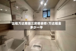 出租万达商圈三房精装修/万达租金多少一平