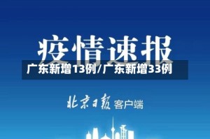广东新增13例/广东新增33例
