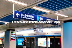 【感染高峰进度查询,感染名单在哪看】