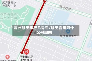 霸州明天限行几号车/明天霸州限什么号周四