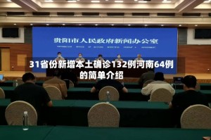 31省份新增本土确诊132例河南64例的简单介绍
