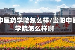 贵阳中医药学院怎么样/贵阳中医药学院怎么样啊