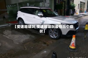 【变速箱啸叫,变速箱啸叫最怕三个症状】