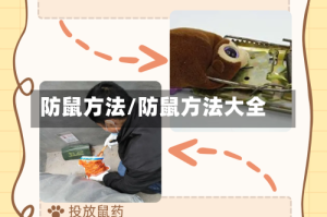 防鼠方法/防鼠方法大全
