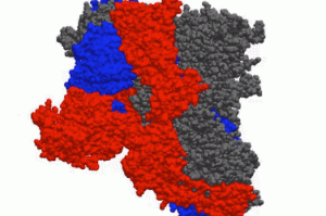全国疫情地图/全国疫情地图最新动态
