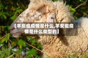 【羊炭疽疫情是什么,羊炭疽疫情是什么类型的】