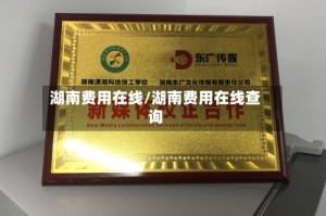 湖南费用在线/湖南费用在线查询