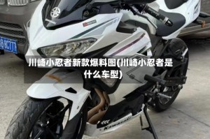 川崎小忍者新款爆料图(川崎小忍者是什么车型)