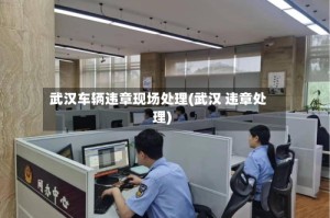 武汉车辆违章现场处理(武汉 违章处理)