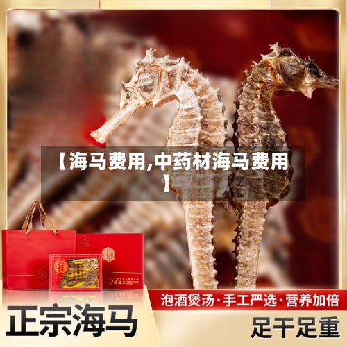 【海马费用,中药材海马费用】-第2张图片