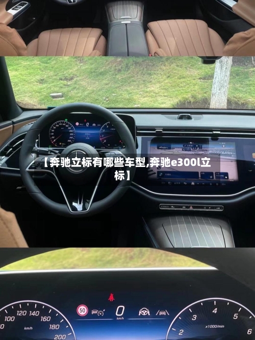 【奔驰立标有哪些车型,奔驰e300l立标】-第1张图片