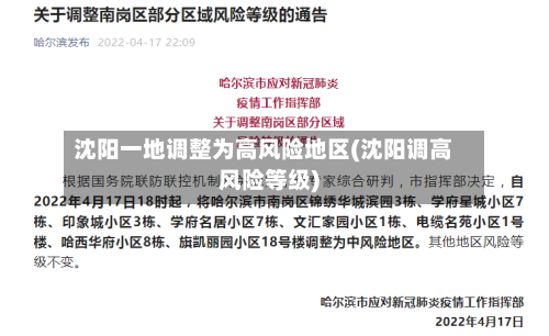 沈阳一地调整为高风险地区(沈阳调高风险等级)-第1张图片