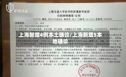上海新增4例本土确诊/上海新增5本地确诊-第3张图片