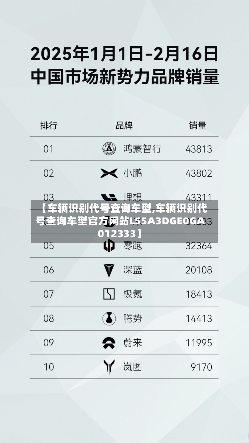 【车辆识别代号查询车型,车辆识别代号查询车型官方网站LS5A3DGE0GA012333】-第3张图片