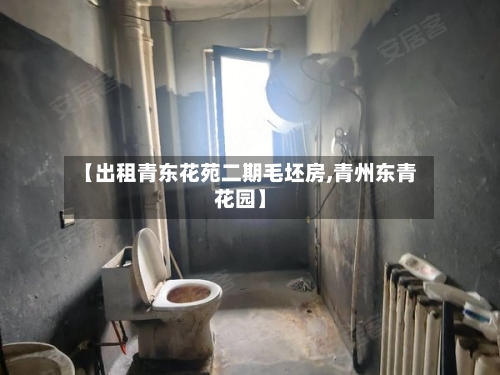 【出租青东花苑二期毛坯房,青州东青花园】-第2张图片