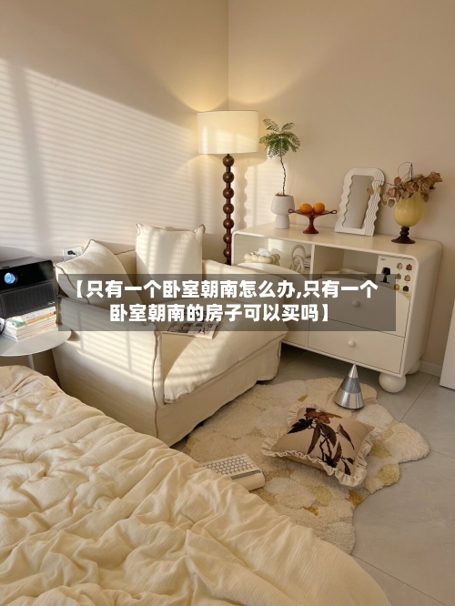 【只有一个卧室朝南怎么办,只有一个卧室朝南的房子可以买吗】-第1张图片