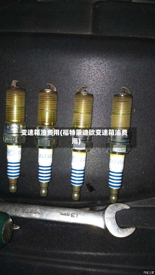 变速箱油费用(福特蒙迪欧变速箱油费用)-第3张图片