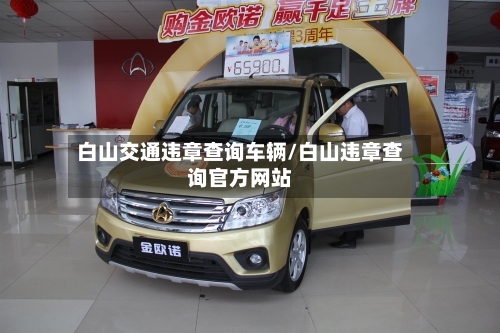 白山交通违章查询车辆/白山违章查询官方网站-第1张图片