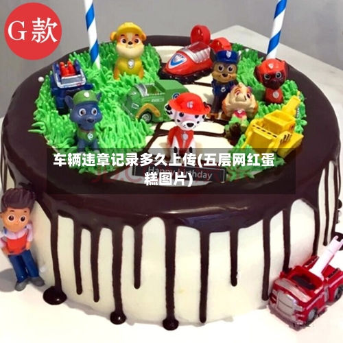 车辆违章记录多久上传(五层网红蛋糕图片)-第1张图片