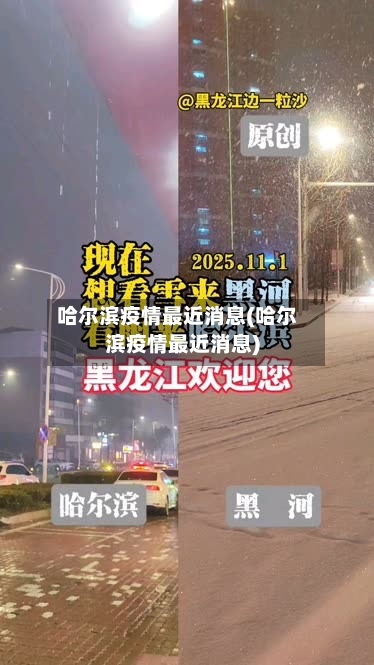 哈尔滨疫情最近消息(哈尔滨疫情最近消息)-第1张图片