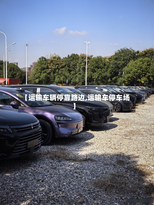 【运输车辆停靠路边,运输车停车场】-第1张图片