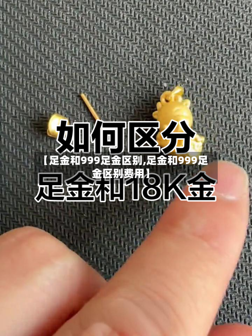 【足金和999足金区别,足金和999足金区别费用】-第1张图片