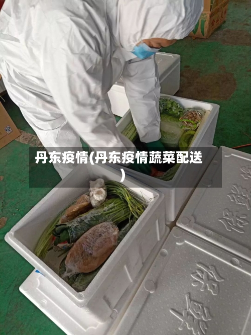 丹东疫情(丹东疫情蔬菜配送)-第3张图片