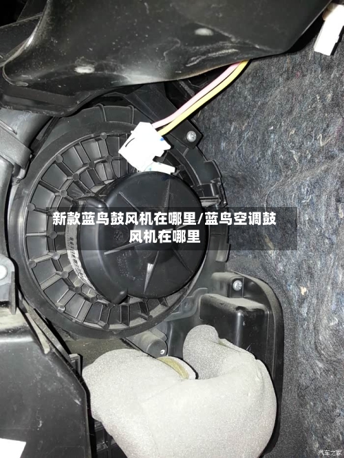 新款蓝鸟鼓风机在哪里/蓝鸟空调鼓风机在哪里-第1张图片