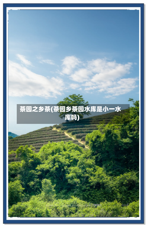 茶园之乡茶(茶园乡茶园水库是小一水库吗)-第2张图片
