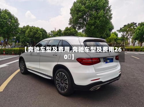 【奔驰车型及费用,奔驰车型及费用260乚】-第1张图片