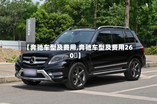 【奔驰车型及费用,奔驰车型及费用260乚】-第3张图片