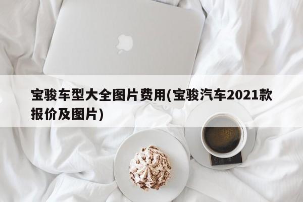宝骏车型大全图片费用(宝骏汽车2021款报价及图片)